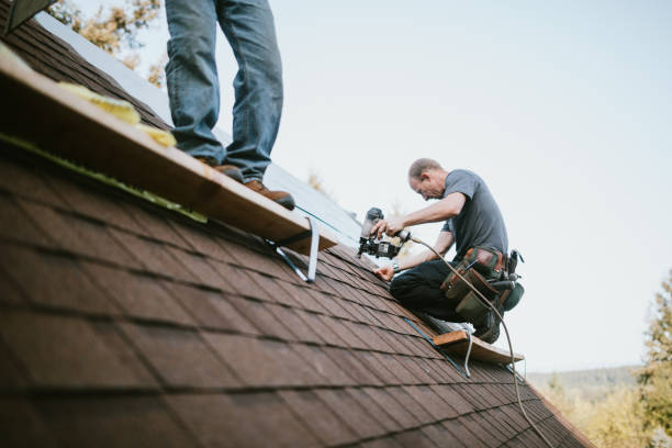 Roof Gutter Cleaning in Crimora, VA