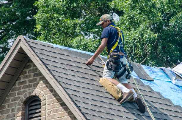 Best Storm Damage Roof Repair  in Crimora, VA